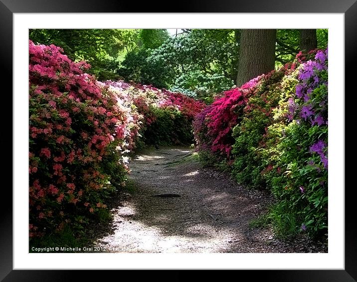 Isabella Plantation Framed Mounted Print by Michelle Orai