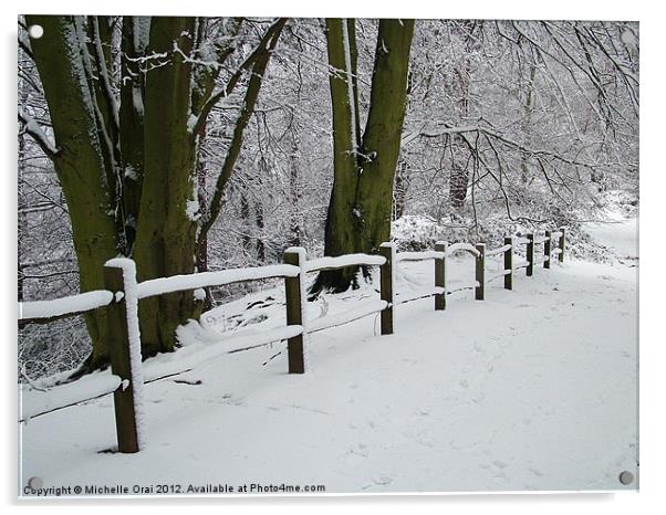 Snowy Fence Acrylic by Michelle Orai