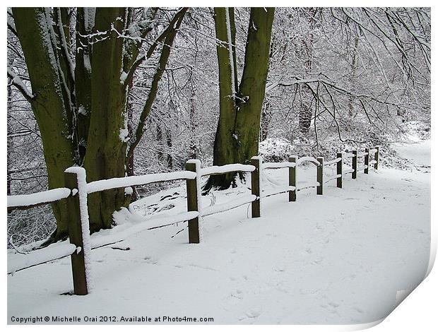 Snowy Fence Print by Michelle Orai