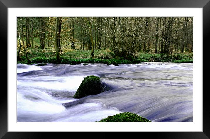 flowing stream in the woods Framed Mounted Print by Johnathan  Dixon