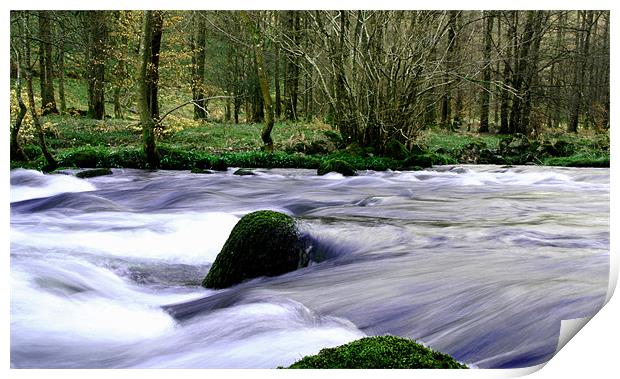 flowing stream in the woods Print by Johnathan  Dixon