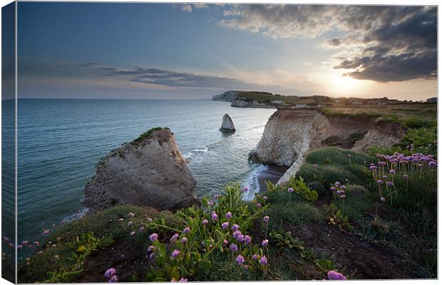 Freshwater Bay Sunset Canvas Print by Barry Maytum