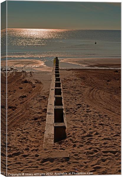 Breakwater Canvas Print by Linsey Williams
