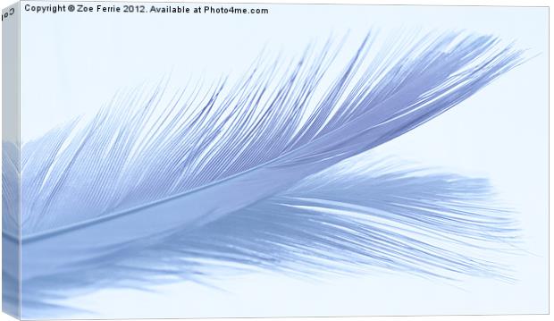 Feather Abstract Canvas Print by Zoe Ferrie