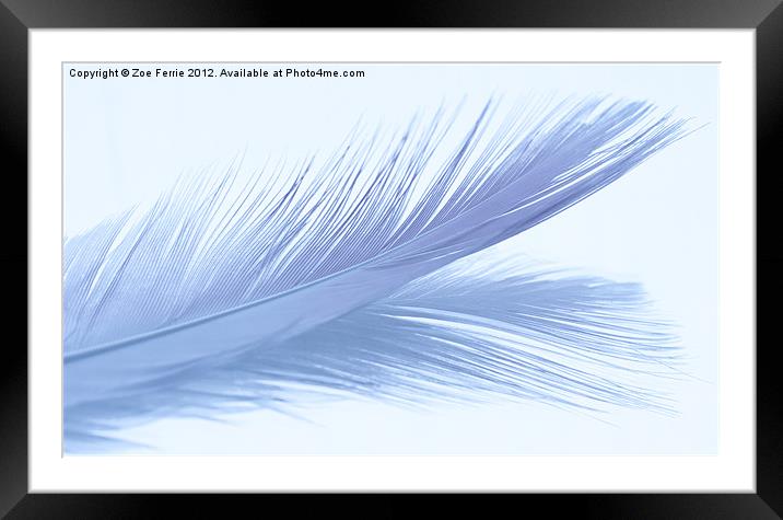 Feather Abstract Framed Mounted Print by Zoe Ferrie