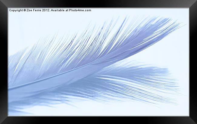 Feather Abstract Framed Print by Zoe Ferrie