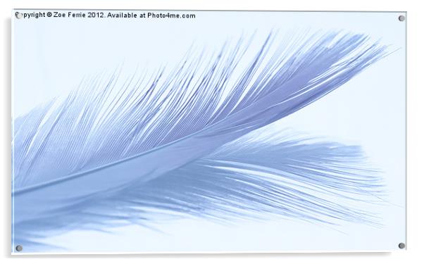 Feather Abstract Acrylic by Zoe Ferrie