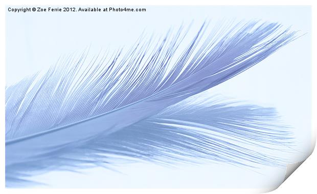 Feather Abstract Print by Zoe Ferrie