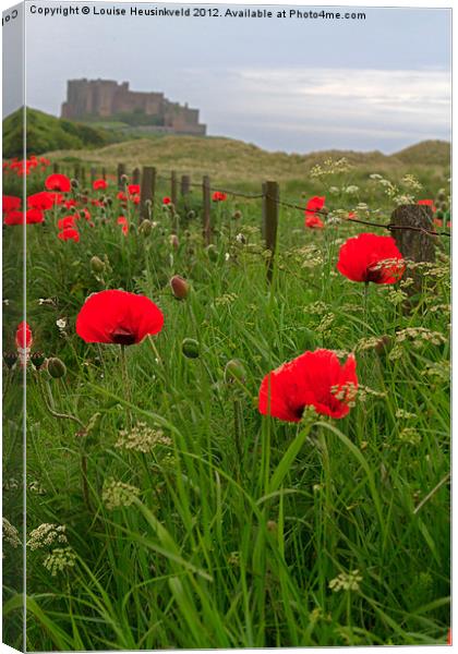 Poppies in Northumberland Canvas Print by Louise Heusinkveld