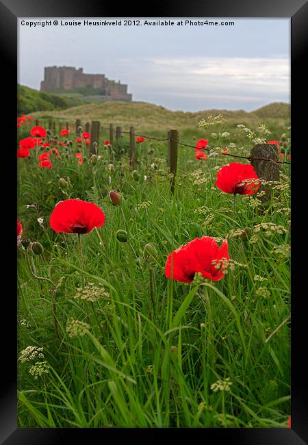 Poppies in Northumberland Framed Print by Louise Heusinkveld