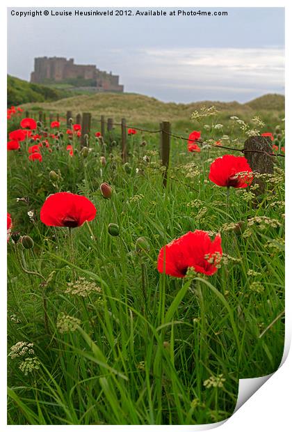 Poppies in Northumberland Print by Louise Heusinkveld
