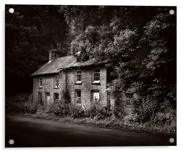 Abandoned Welsh cottage Acrylic by David Worthington