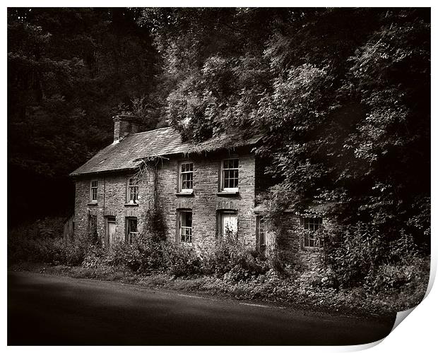 Abandoned Welsh cottage Print by David Worthington