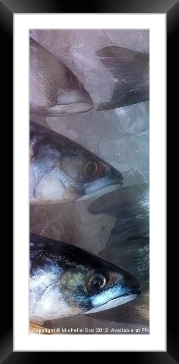 Something Fishy! Framed Mounted Print by Michelle Orai