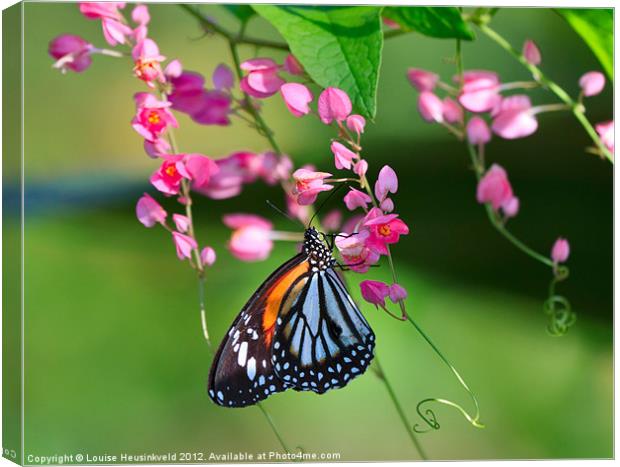 Beautiful Tiger Butterfly Canvas Print by Louise Heusinkveld