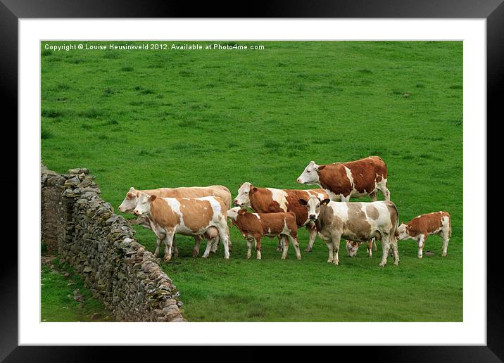 Waiting Cattle Framed Mounted Print by Louise Heusinkveld