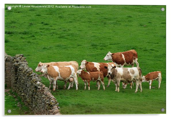 Waiting Cattle Acrylic by Louise Heusinkveld