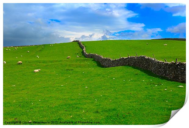 Dry stone wall in Swaledale Print by Louise Heusinkveld