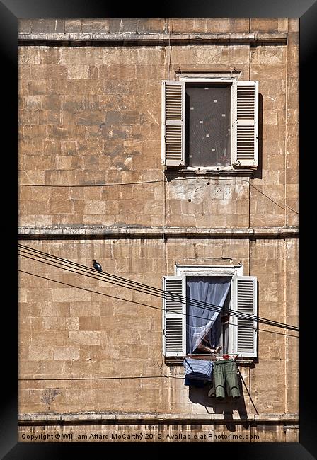 Urban Life in Valletta Framed Print by William AttardMcCarthy