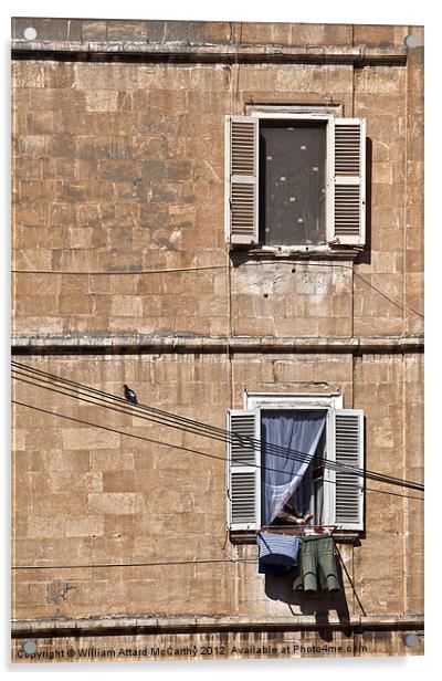Urban Life in Valletta Acrylic by William AttardMcCarthy