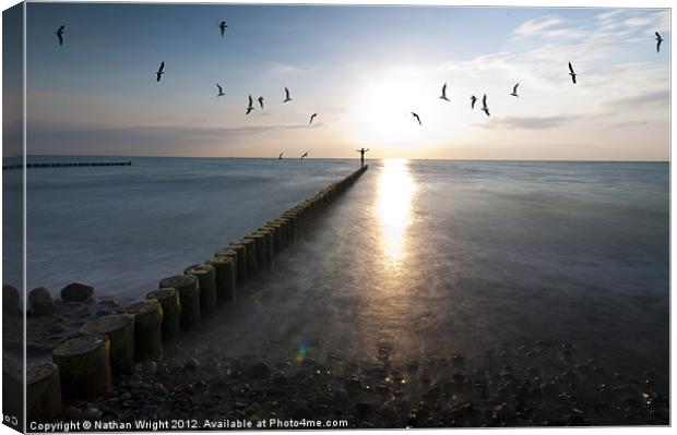 Sea birds sunset. Canvas Print by Nathan Wright