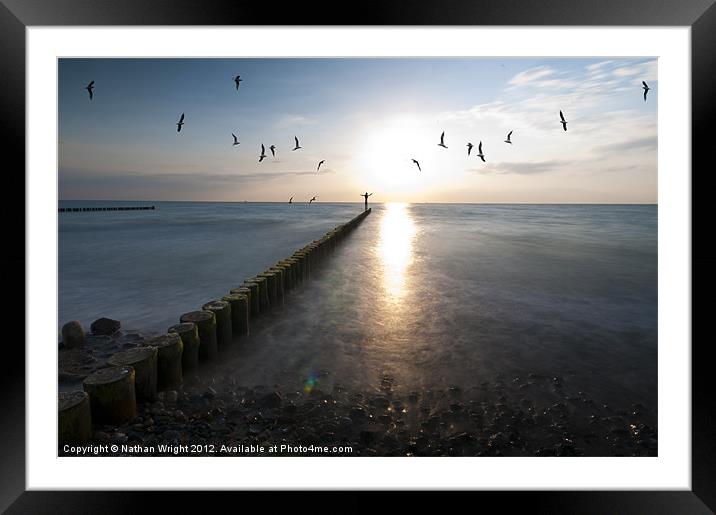 Sea birds sunset. Framed Mounted Print by Nathan Wright