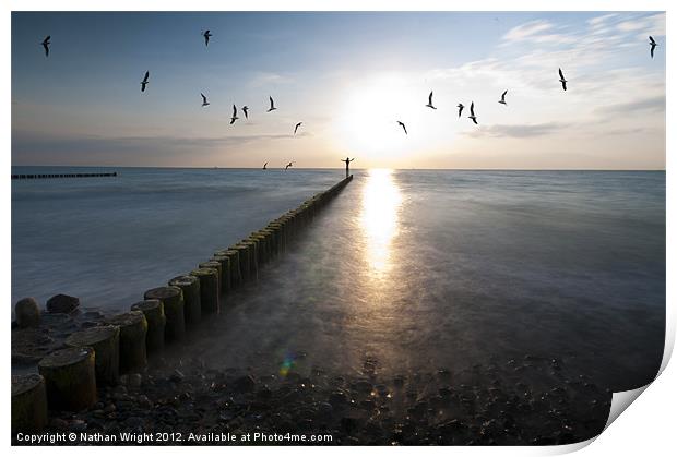 Sea birds sunset. Print by Nathan Wright