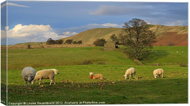 Mallerstang Dale, Cumbria, UK Canvas Print by Louise Heusinkveld