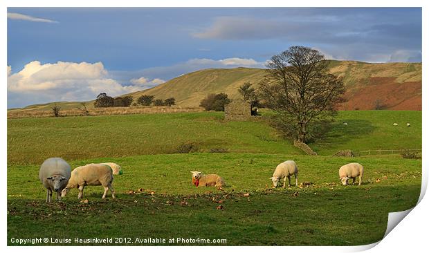 Mallerstang Dale, Cumbria, UK Print by Louise Heusinkveld