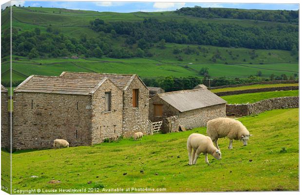 Swaledale, Yorkshire Dales Canvas Print by Louise Heusinkveld