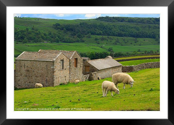Swaledale, Yorkshire Dales Framed Mounted Print by Louise Heusinkveld