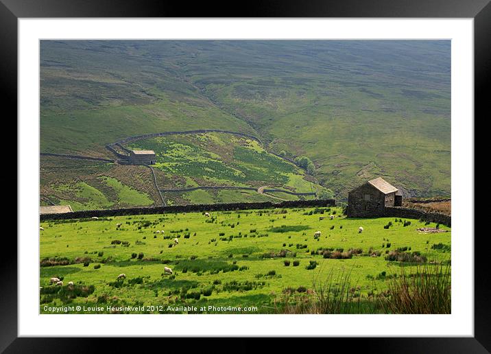 Sheep grazing in Swaledale Framed Mounted Print by Louise Heusinkveld