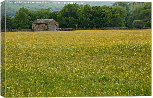 Field of buttercups, Swaledale Canvas Print by Louise Heusinkveld