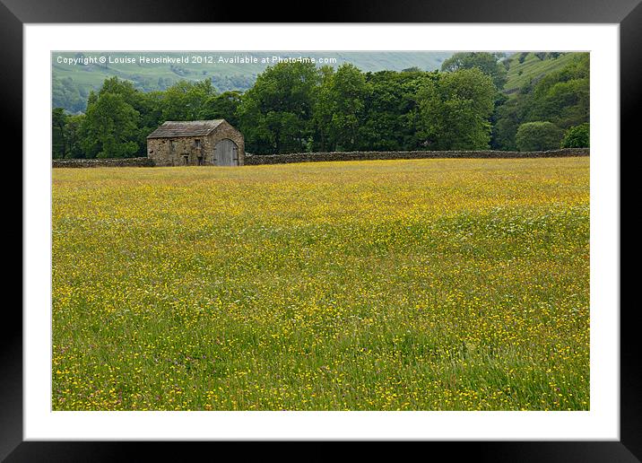 Field of buttercups, Swaledale Framed Mounted Print by Louise Heusinkveld