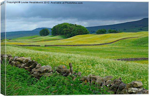 Wildflower meadow near Hawes Canvas Print by Louise Heusinkveld