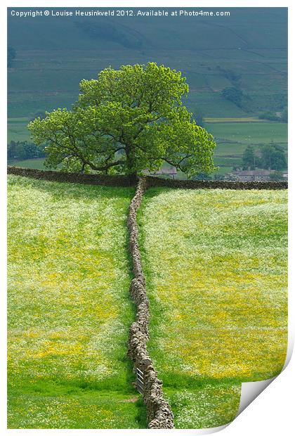Lone Tree and Stone Wall Print by Louise Heusinkveld