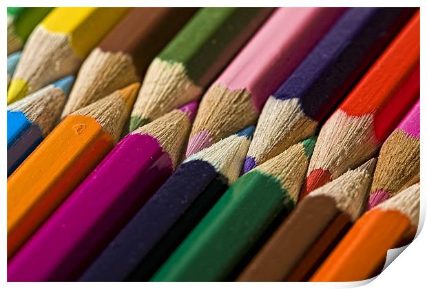 Interlocked Coloured Pencils Print by Steven Clements LNPS