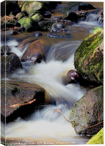 Smooth Water at Padley Gorge Canvas Print by Angie Morton