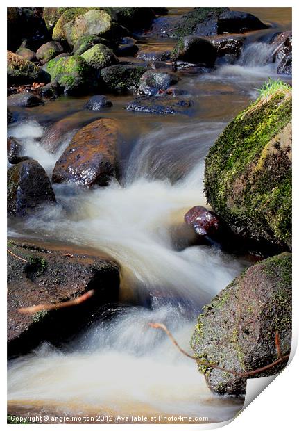 Smooth Water at Padley Gorge Print by Angie Morton