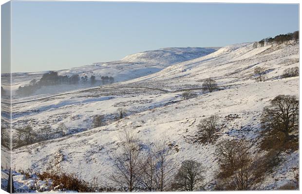 Campsie in the Snow Canvas Print by Iain McGillivray