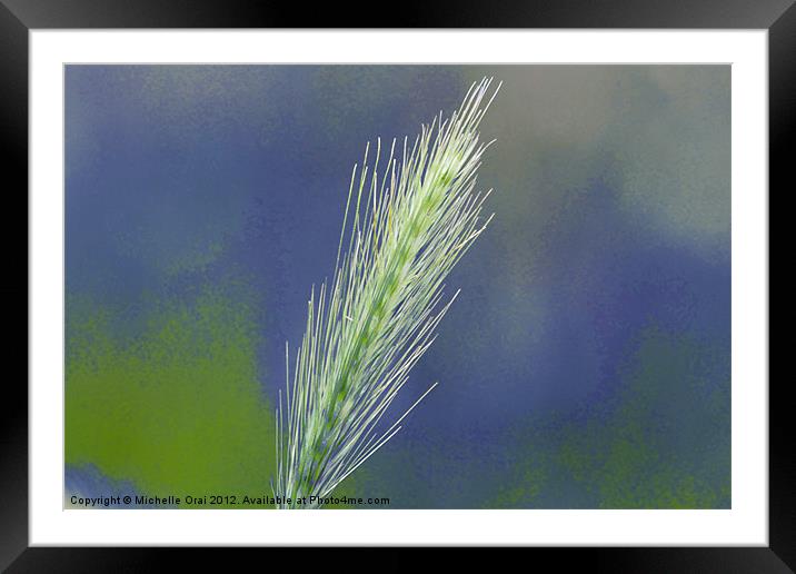 Wheat Grass Framed Mounted Print by Michelle Orai
