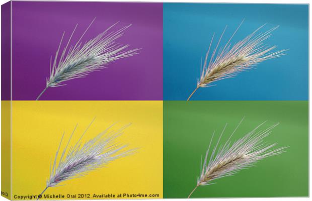 Wheat grass x 4 Canvas Print by Michelle Orai