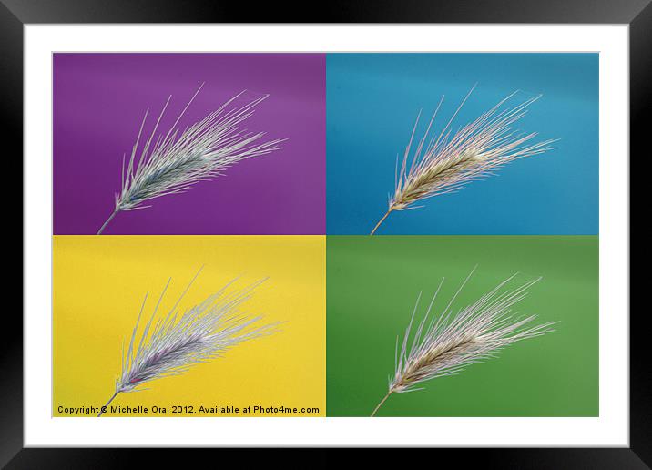 Wheat grass x 4 Framed Mounted Print by Michelle Orai