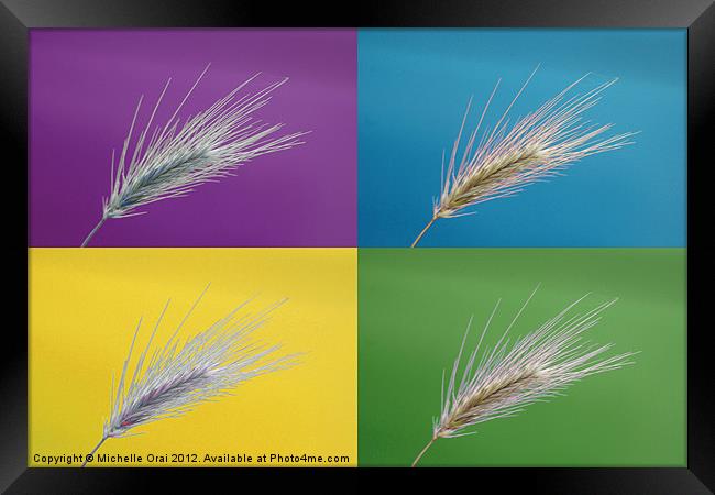 Wheat grass x 4 Framed Print by Michelle Orai