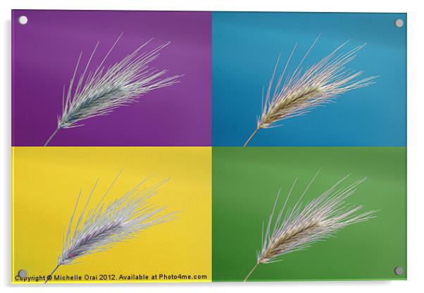 Wheat grass x 4 Acrylic by Michelle Orai