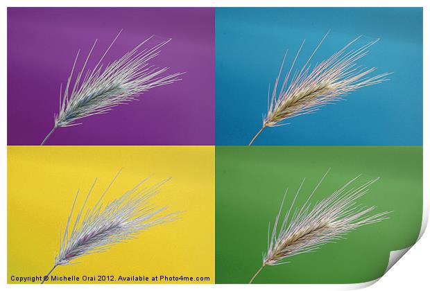 Wheat grass x 4 Print by Michelle Orai