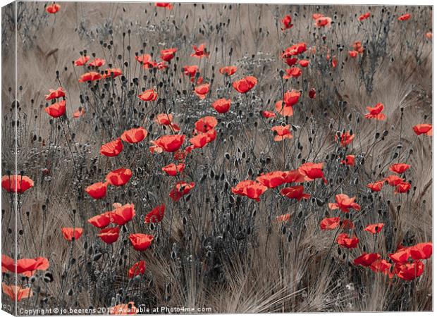 poppy field Canvas Print by Jo Beerens