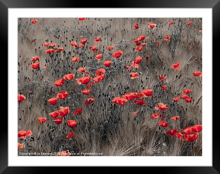 poppy field Framed Mounted Print by Jo Beerens