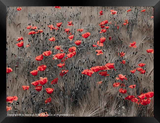 poppy field Framed Print by Jo Beerens