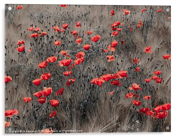 poppy field Acrylic by Jo Beerens
